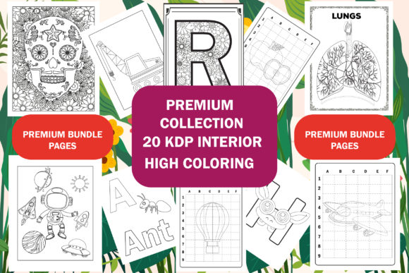 Maximizing Your Publishing Potential with the 20 Kdp Interior Bundle Pack